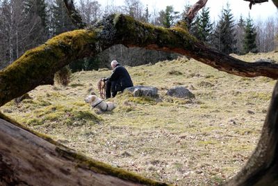 Man sitting on rock with dog seen through tree trunks
