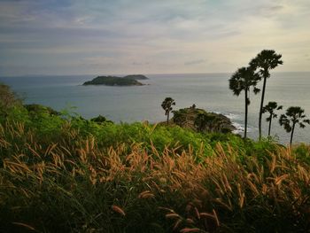 Scenic view of sea against sky