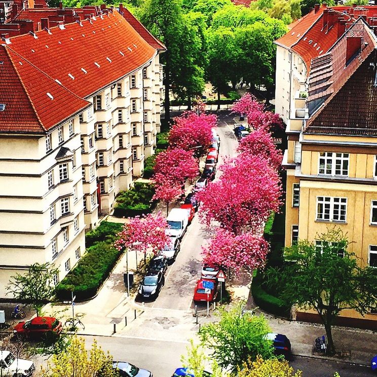 building exterior, architecture, built structure, flower, residential building, house, tree, city, residential structure, street, growth, plant, potted plant, building, outdoors, day, incidental people, window, sunlight, city life