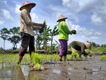 Panoramic view of man standing in farm against sky