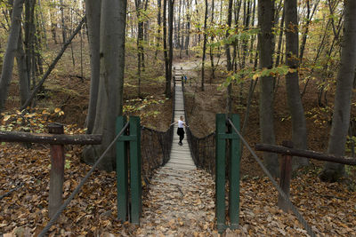 Rear view of woman walking in forest