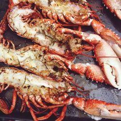 High angle view of lobsters on plate