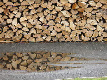 Stack of logs in forest