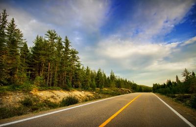 Empty road with trees in background