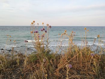 Scenic view of sea against sky