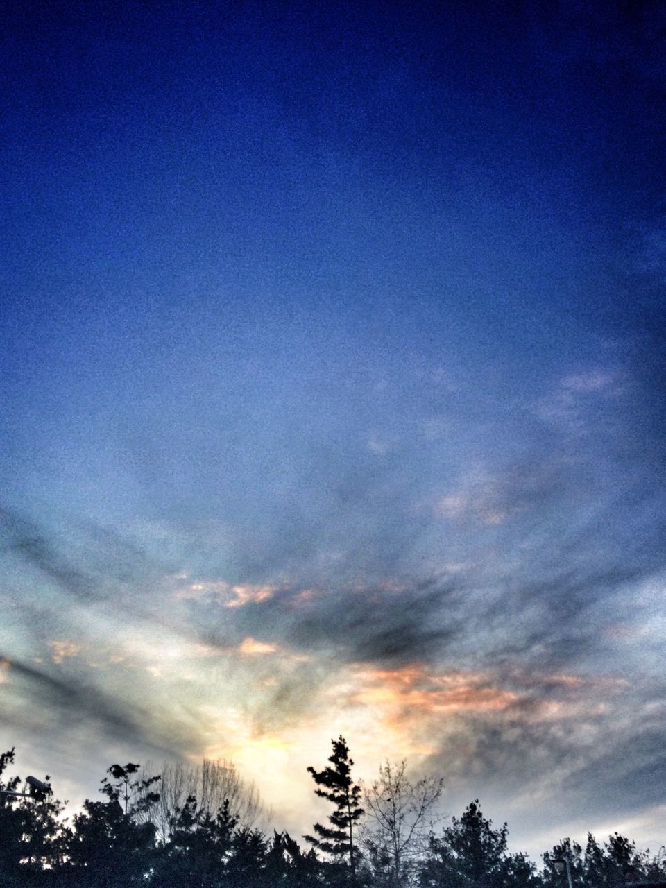 low angle view, tree, sky, beauty in nature, tranquility, silhouette, scenics, blue, nature, tranquil scene, cloud - sky, sunset, cloud, idyllic, treetop, growth, high section, outdoors, no people, dusk