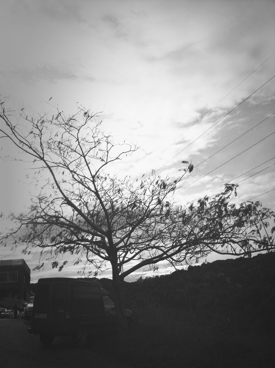 bare tree, tree, sky, building exterior, built structure, architecture, silhouette, branch, house, cloud - sky, low angle view, nature, outdoors, tranquility, day, transportation, no people, residential structure, weather, cloud