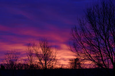 Silhouette bare trees on field against sky at sunset