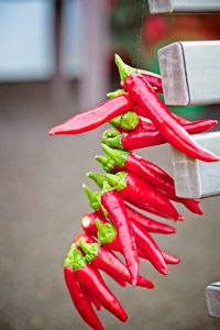 Close-up of red chili peppers on table