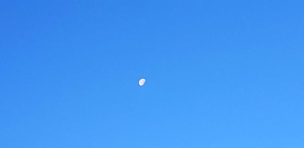 Low angle view of moon against clear blue sky