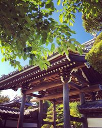 Low angle view of built structure against trees