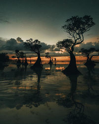 Silhouette people by lake against sky during sunset