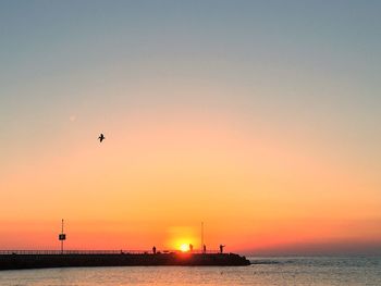 Silhouette birds flying over sea against clear sky during sunset