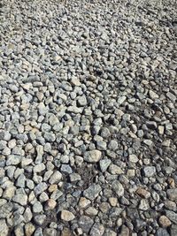 Full frame shot of pebbles on beach