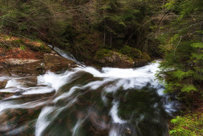 Stream flowing through rocks in forest