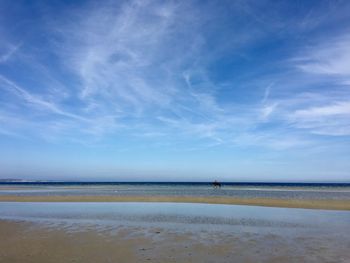 Scenic view of person rising horse on beach against sky