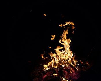 Close-up of bonfire at night