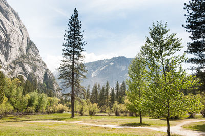 Scenic view of mountains