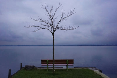 Bare tree by calm lake against sky