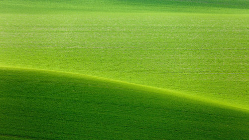 Full frame shot of green field