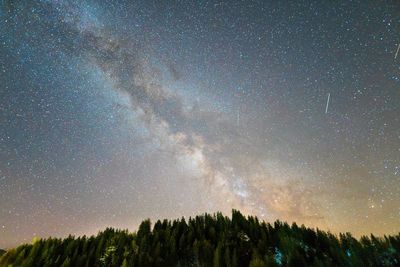 Scenic view of star field against sky at night