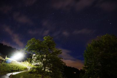 Low angle view of trees against sky at night