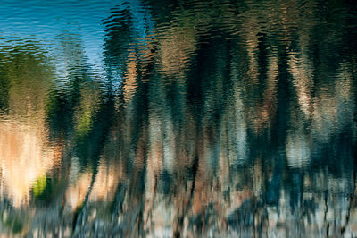 High angle view of trees by lake