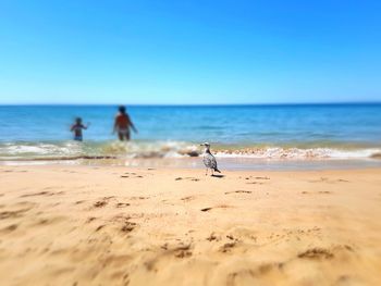 People on beach against clear sky