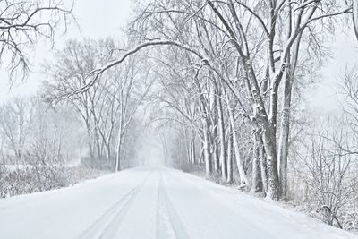 Snow covered road amidst bare trees during winter