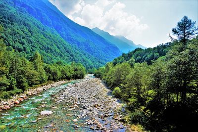 Scenic view of landscape against sky