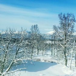 Scenic view of snow covered landscape