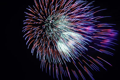 Low angle view of firework display against sky at night