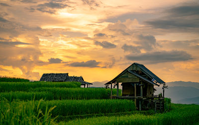 Scenic view of field against sky during sunset