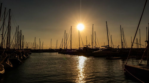 Sailboats in marina at sunset