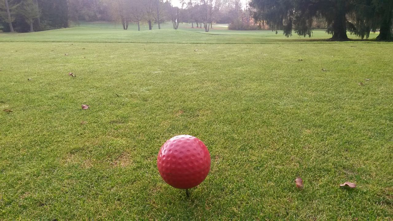 grass, green color, sport, ball, playing field, soccer, soccer field, close-up, no people, outdoors, match - sport, green - golf course, day