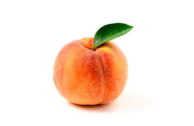 Close-up of apple against white background