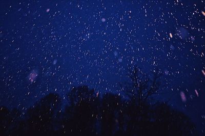 Low angle view of trees against sky at night