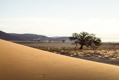Sossusvlei silent sunset. namib desert, namibia.
