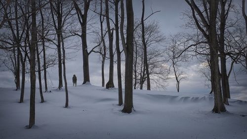 Person standing by trees in snow covered forest at dusk