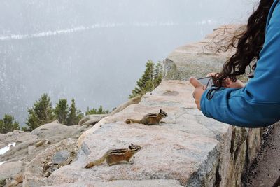 Cropped hands photographing chipmunks on retaining wall