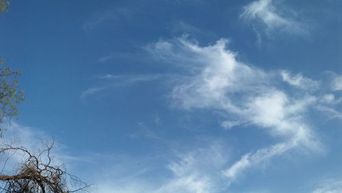 Low angle view of blue sky