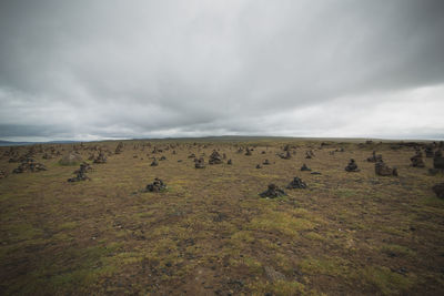 Scenic view of landscape