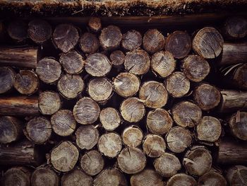 Full frame shot of logs