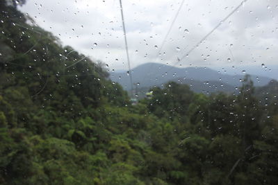 Close-up of wet window during rainy season