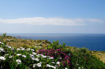 Scenic view of sea against sky