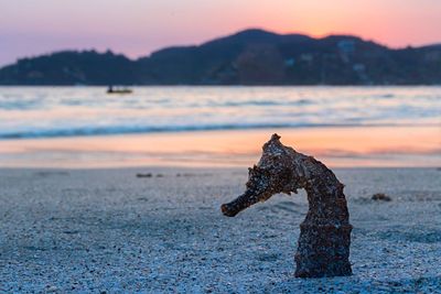 Close-up of sea during sunset