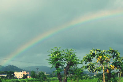 rainbow