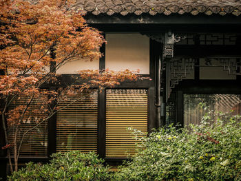 Trees in front of house