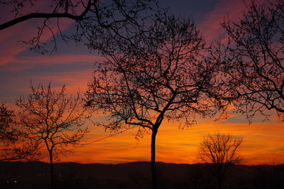 Silhouette bare tree against orange sky