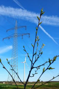 Low angle view of trees on field against blue sky